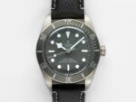 Tudor 79010SG
