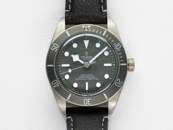 Tudor 79010SG