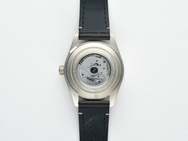 Tudor 79010SG