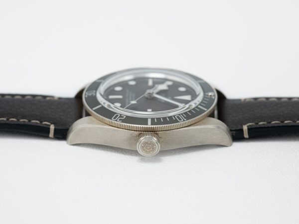 Tudor 79010SG