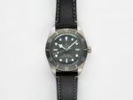 Tudor 79010SG