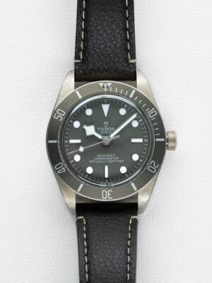 Tudor 79010SG