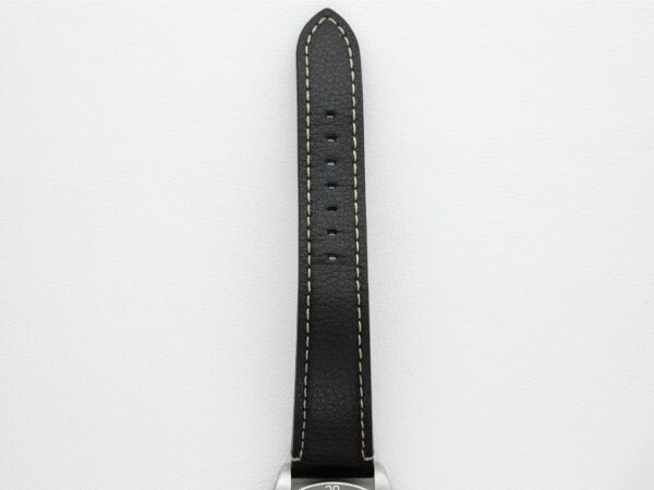 Tudor 79010SG