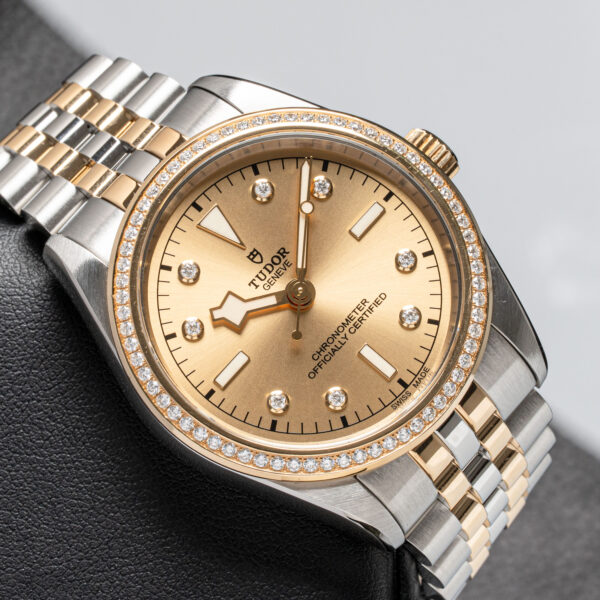 Tudor 79673