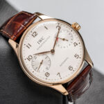 IWC IW500004