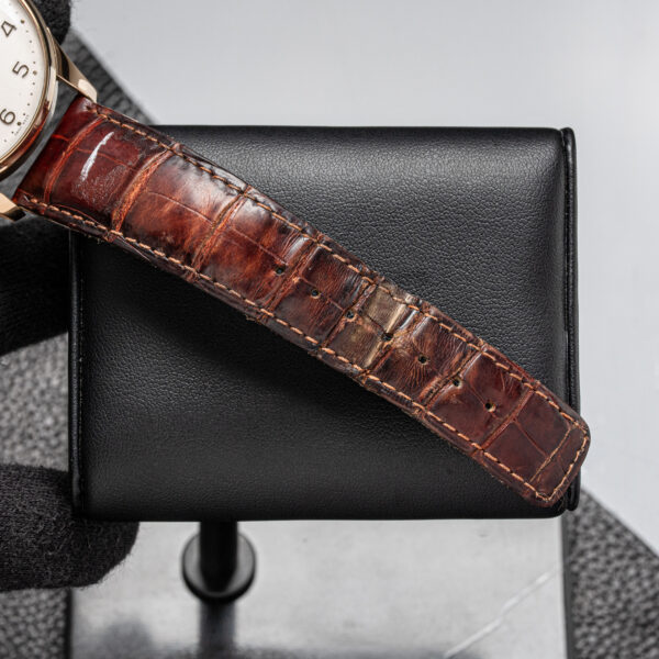 IWC IW500004