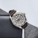 Tudor 79010SG