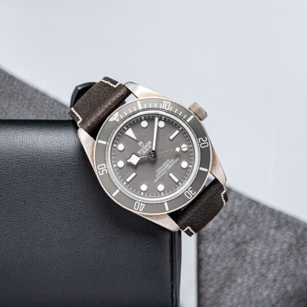 Tudor 79010SG