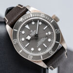 Tudor 79010SG