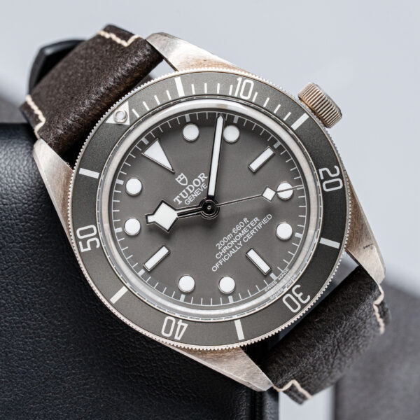 Tudor 79010SG