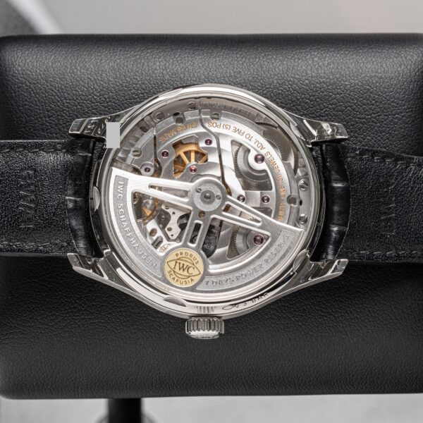 IWC IW500114