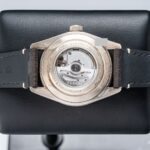 Tudor 79010SG