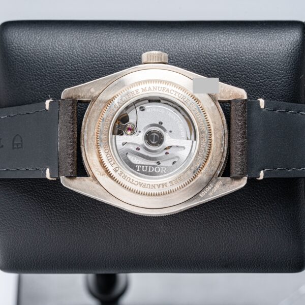 Tudor 79010SG
