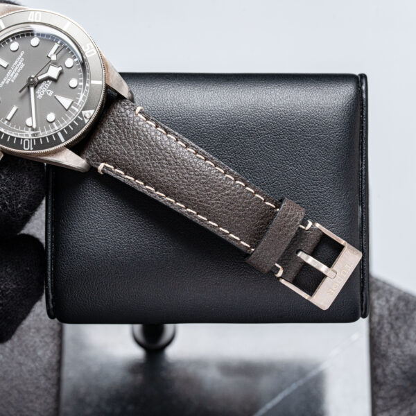 Tudor 79010SG