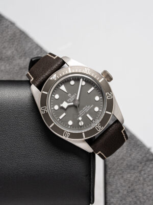 Tudor 79010SG