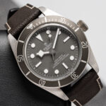 Tudor 79010SG