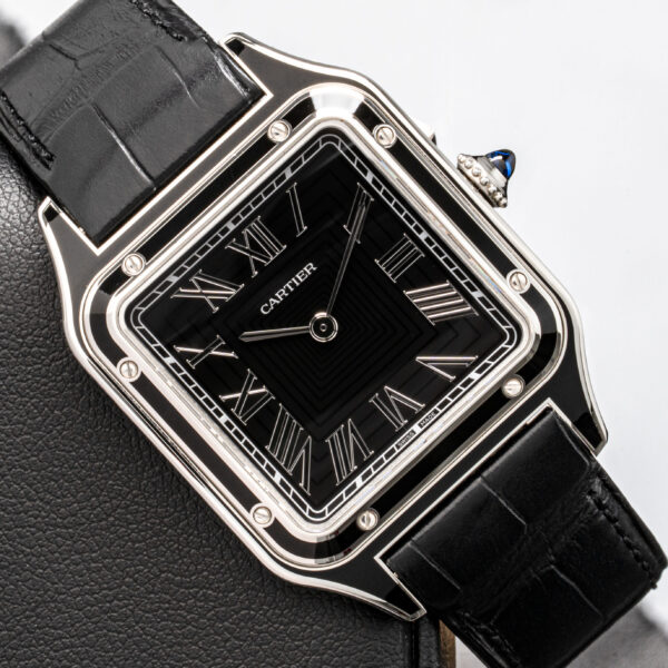 Cartier WSSA0046