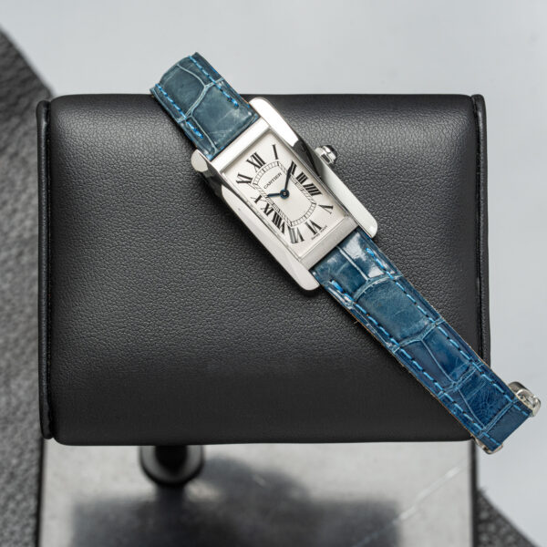 Cartier 3970 / WSTA0016