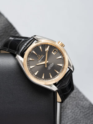 Omega 231.20.39.21.06.004