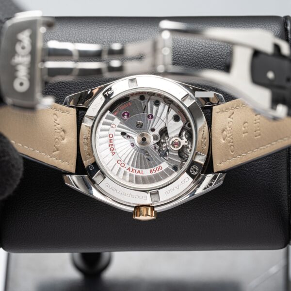 Omega 231.20.39.21.06.004