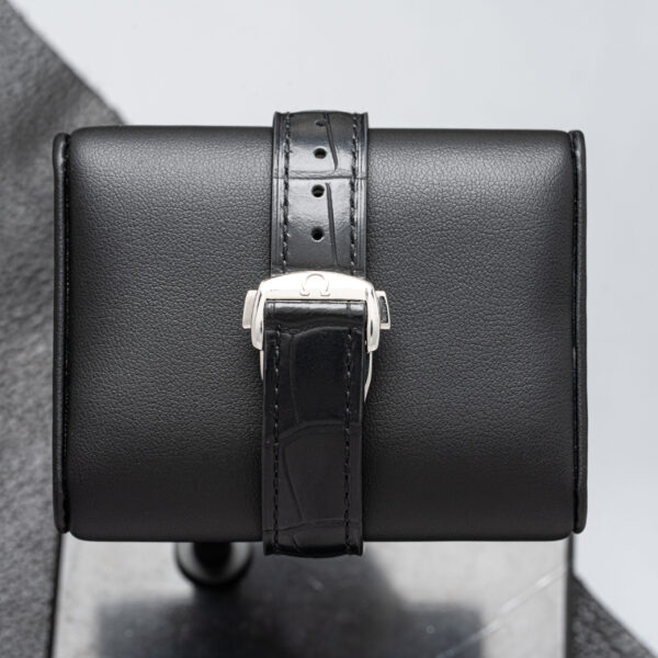 Omega 231.20.39.21.06.004