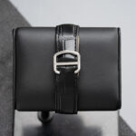 Cartier WSNM0004