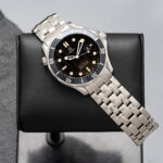 Omega 212.30.41.61.01.001