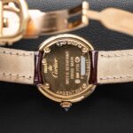 Cartier W1010744