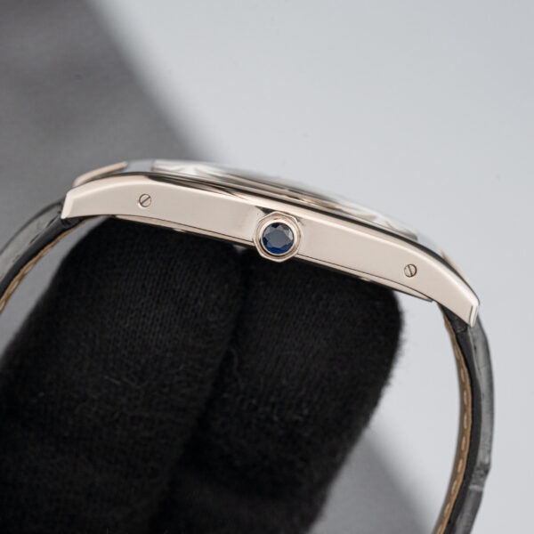 Cartier WGTO0003