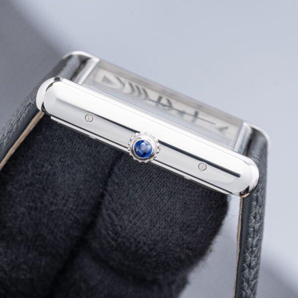 Cartier WSTA0040