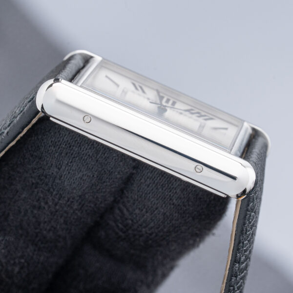 Cartier WSTA0040