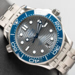 Omega 210.30.42.20.06.001
