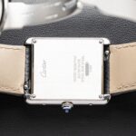Cartier WSTA0028