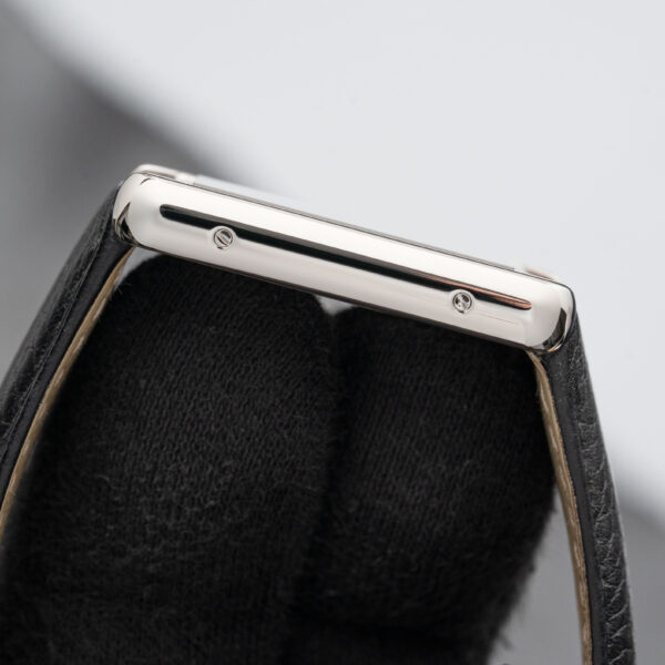 Cartier WSTA0028