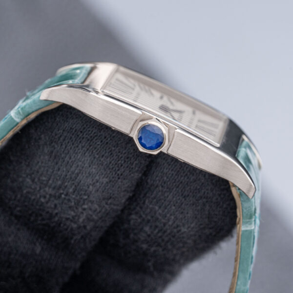 Cartier W2009451