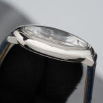 Cartier WSBB0025