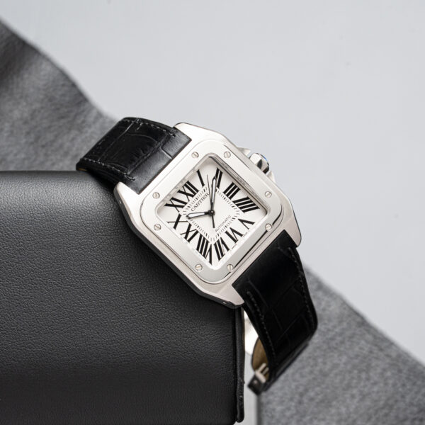 Cartier W20106X8 / 2878