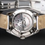 Omega 231.13.39.21.54.001