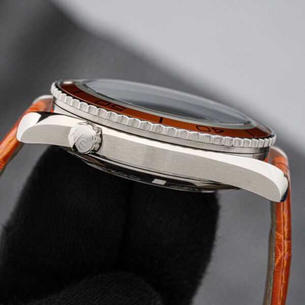 Omega 2908.50.38