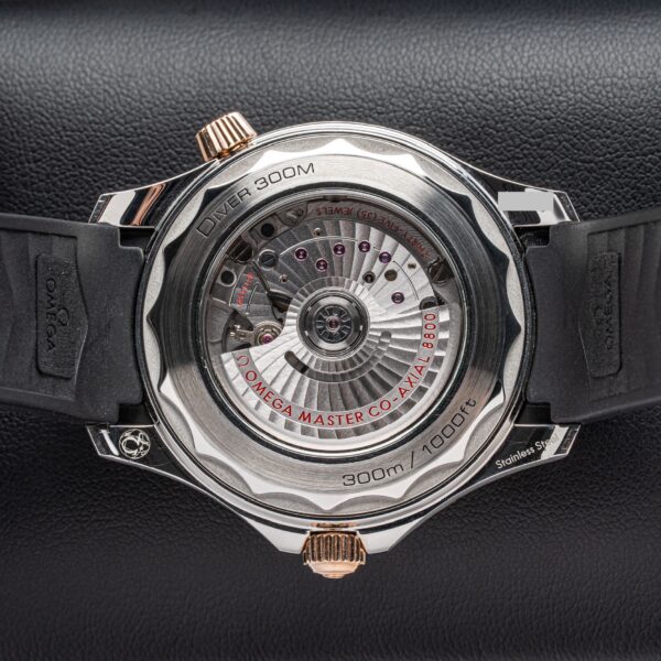 Omega 210.22.42.20.01.002