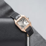 Cartier WGSA0022