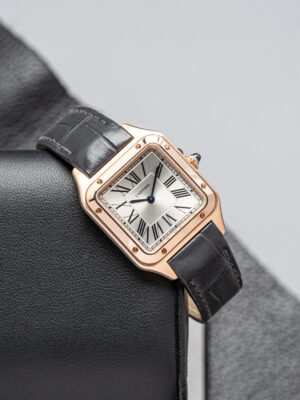 Cartier WGSA0022