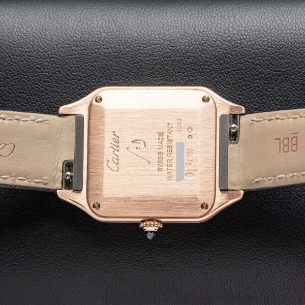 Cartier WGSA0022