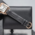 Cartier WGSA0022