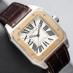 Cartier W20072X7