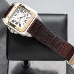 Cartier W20072X7