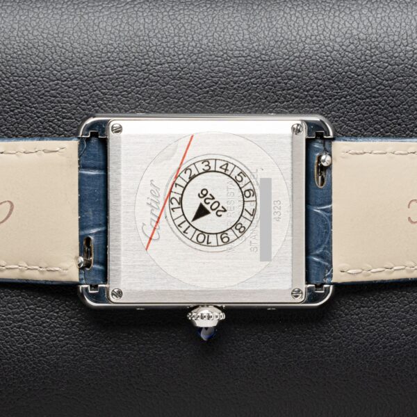 Cartier WSTA0055
