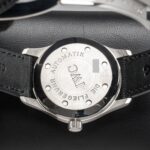 IWC IW325313