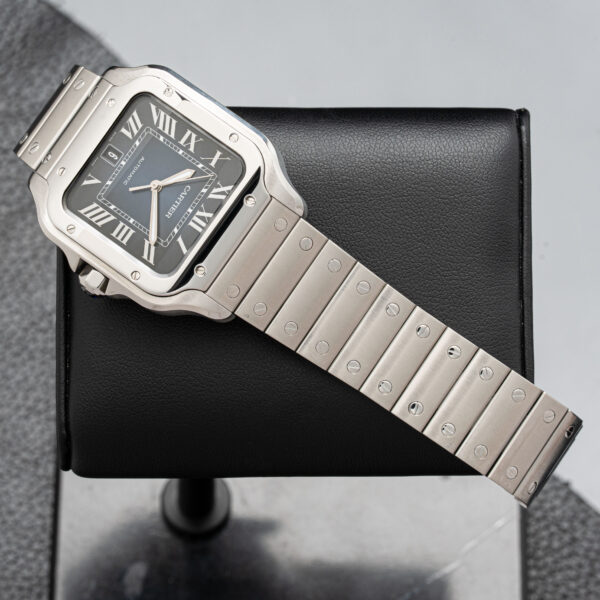 Cartier WSSA0030