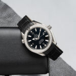 Omega 222.18.42.20.01.001
